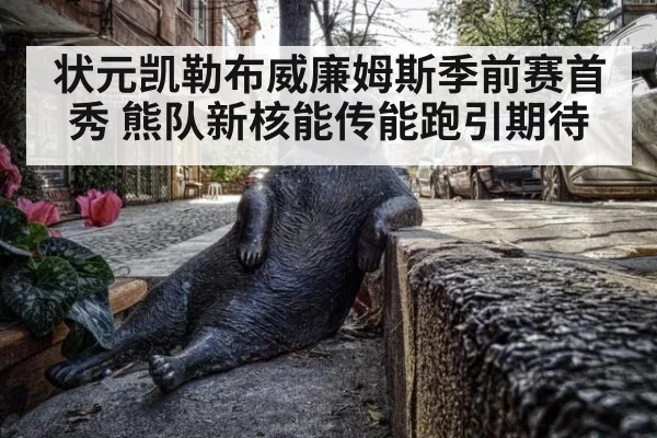 状元凯勒布威廉姆斯季前赛首秀 熊队新核能传能跑引期待
